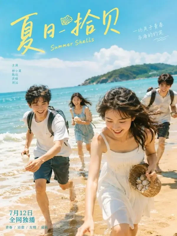 海豚湾的夏天 封面